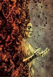 Nuestra Señora De La Esperanza (Carrie Vaughn)