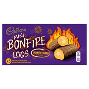 Bonfire Log