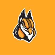 Schaumburg Boomers (IND)