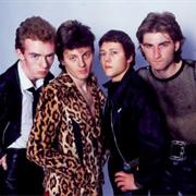 The Radiators From Space