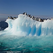 Blue Ice and Friends