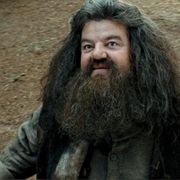 Hagrid - &quot;Sorry Abou&#39; Tha&#39;&quot;