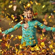 Play With Autumn Leaves