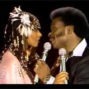 Shake Your Groove Thing