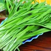 Hooker Chives (Allium Hookeri)