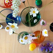 Colour Changing Flowers (Water With Ink)