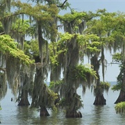 Experience Extreme Heat (Over 45 Degrees Celsius)