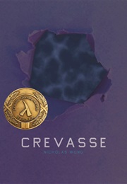 Crevasse (Nicholas Wong)