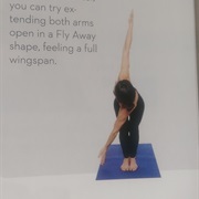 Thunderbolt Twist (Fly Away)