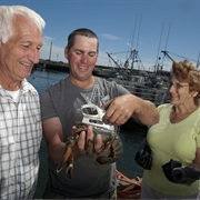 Spend a Day With the Living Wharves Program (NS)
