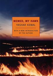 Memet My Hawk