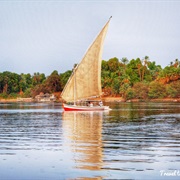 Felucca Sailing on the Nile