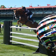Spruce Meadows