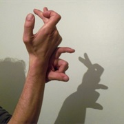 Make Shadow Puppets