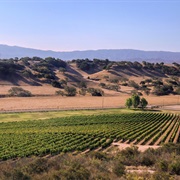 Santa Barbara Wine Country, US (Sideways)