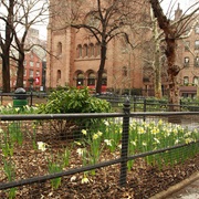 Stuyvesant Square (Manhattan)