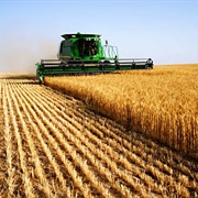 Do 3 Agriculture Activities (Animals NOT Involved)