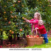 Eat Fresh Picked Fruits or Vegetables