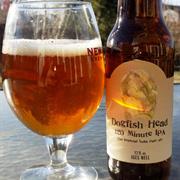 Dogfish Head 120 Minute