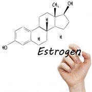 Estrogen