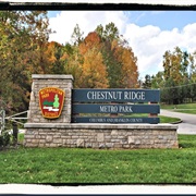 Chestnut Ridge