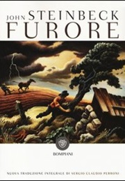 Furore (John Steinbeck)