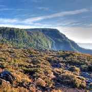 New England National Park (NSW)