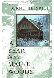 A Year in the Maine Woods (Bernd Heinrich)