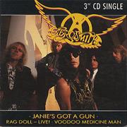 Aerosmith - Janie&#39;s Got a Gun