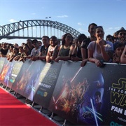 Be Among Fans on a Red Carpet