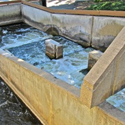 Fish Ladder Park, Grand Rapids