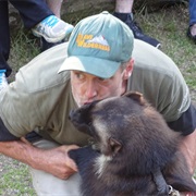 Kroschel Films Wildlife Center