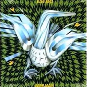 Rare Bird - Peace of Mind