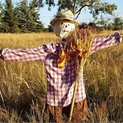 Build a Scarecrow