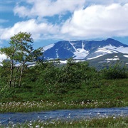 Hattfjelldal