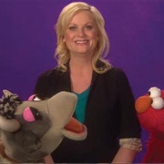 Amy Poehler