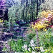 Claude Monet's Garden At, Giverny With Mom on Mother's Day