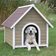 Dog House