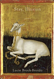 Stay, Illusion (Lucie Brock-Broido)