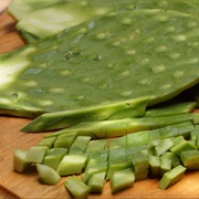 Nopal
