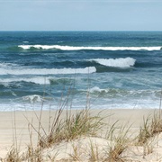 False Cape State Park
