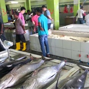 Fish Market of Male, Maldives
