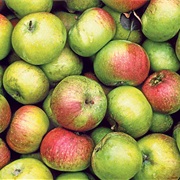 Table Apple / Dessert Apple