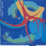 Robert Plant - Shaken N Stirred