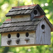 Put Up a Birdhouse