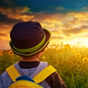 Make a Dream Come True