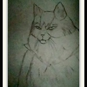 Catnieula Angelina Jensen