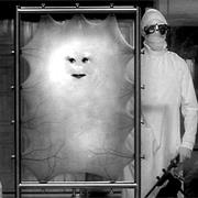 Lady Cassandra O'Brien