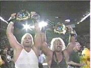 Barry Windham & Curt Hennig