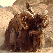 Bantha